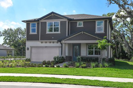 Tamarack at Two Rivers by William Ryan Homes in Wesley Chapel - photo 5 5