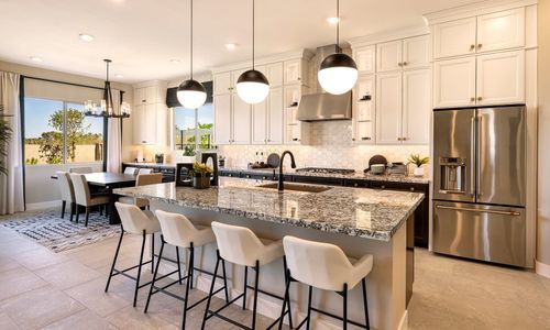 Ridge Collection at Whispering Hills by Tri Pointe Homes in Phoenix - photo 5 5