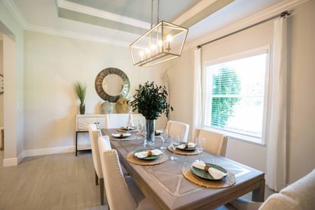 Sorrento & Mount Dora by Maronda Homes in Mount Dora - photo 41 41