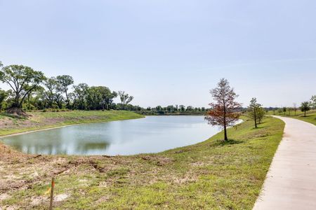 Lakes of River Trails by David Weekley Homes in Fort Worth - photo 4