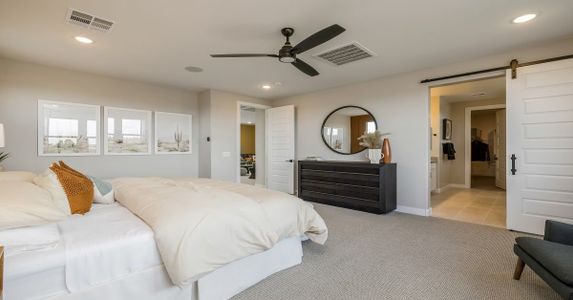 Eminence at Alamar by William Ryan Homes in Avondale - photo 37 37
