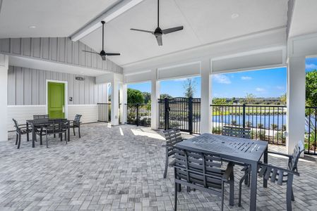 Persimmon Park - Cottage Series by David Weekley Homes in Wesley Chapel - photo