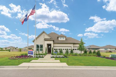 The Colony 45' – Bandera Pass by David Weekley Homes in Bastrop - photo 6 6