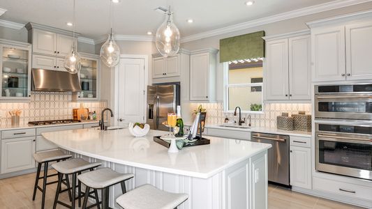 Esplanade at Artisan Lakes by Taylor Morrison in Palmetto - photo 73 73