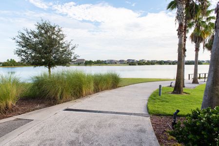 Waterset by Cardel Homes in Apollo Beach - photo 41