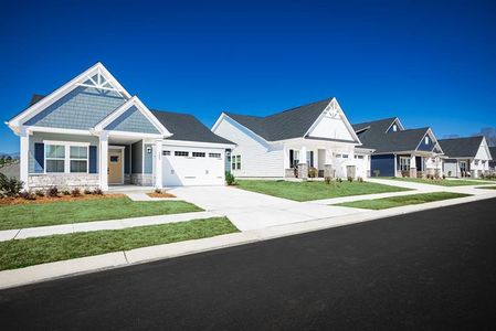 Smith Village Ranches by Ryan Homes in Troutman - photo