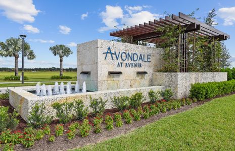 Avondale at Avenir by DiVosta in Palm Beach Gardens - photo 9 9