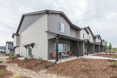 Mosaic Townhomes by Hartford Homes in Fort Collins - photo 1 1