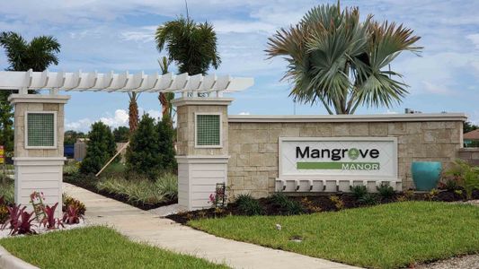 Mangrove Manor by D.R. Horton in Apollo Beach - photo 0