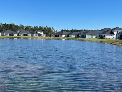 Holly Landing at SilverLeaf by Dream Finders Homes in Saint Augustine - photo 6 6