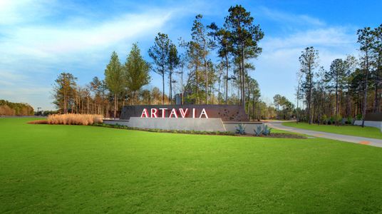 ARTAVIA® - 65' Art Collection by Westin Homes in Conroe - photo