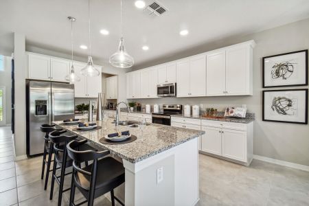 Avalon West by M/I Homes in Spring Hill - photo 17 17