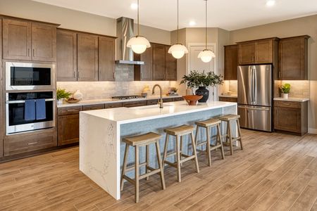Jacamar at Waterston Central by Tri Pointe Homes in Gilbert - photo 31 31