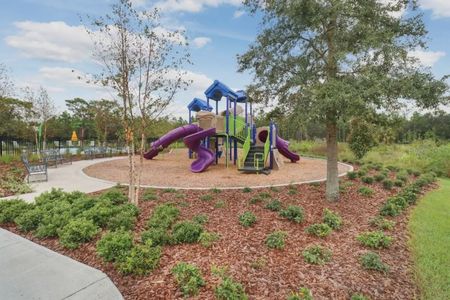 Westgate at Avalon Park by D.R. Horton in Wesley Chapel - photo 13 13