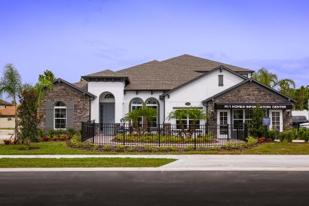 Wolf Lake Ranch by M/I Homes in Apopka - photo 2 2