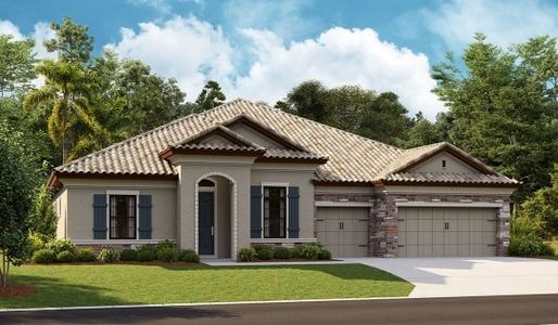Creek Ridge Preserve by Homes by WestBay in Lithia - photo 4