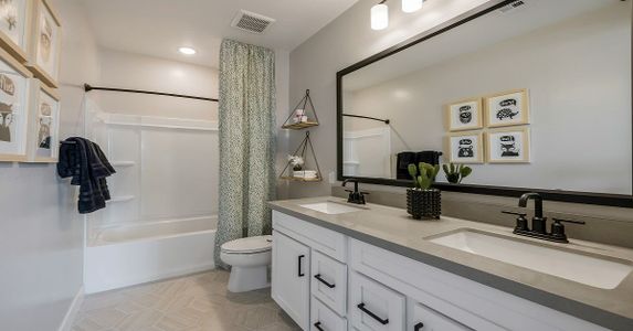 Eminence at Alamar by William Ryan Homes in Avondale - photo 41 41
