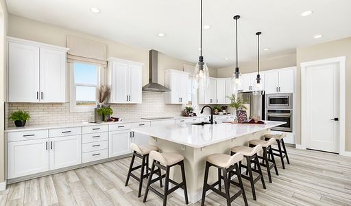 Oak Ridge at Crystal Valley by Richmond American Homes in Castle Rock - photo 54 54