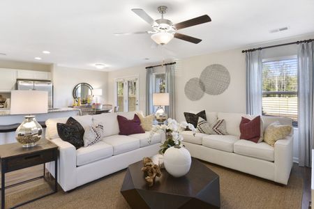 Petterson Meadows by Mungo Homes in Summerville - photo 77 77