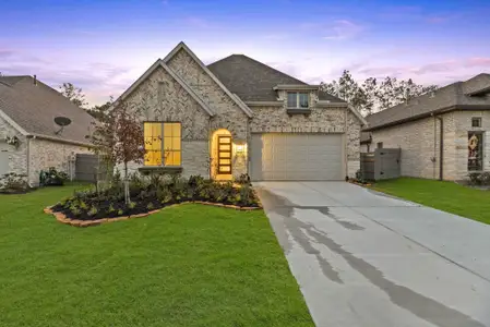 ARTAVIA: 50ft. lots by Highland Homes in Conroe - photo 18 18