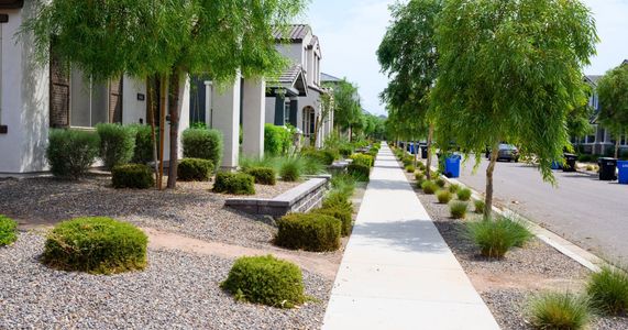 Aster at Union Park by New Home Co. in Phoenix - photo