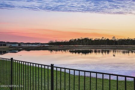 Cross Creek by D.R. Horton in Green Cove Springs - photo 42 42