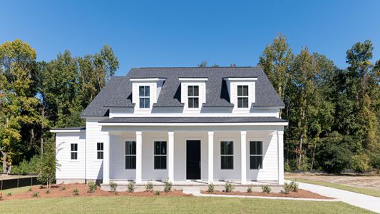 Pamlico Terrace by DRB Homes in Mount Pleasant - photo 5 5