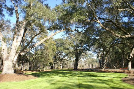 Cresswind Charleston by Kolter Homes in Summerville - photo 7 7