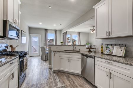 Parkview Lane by Megatel Homes in Allen - photo 14