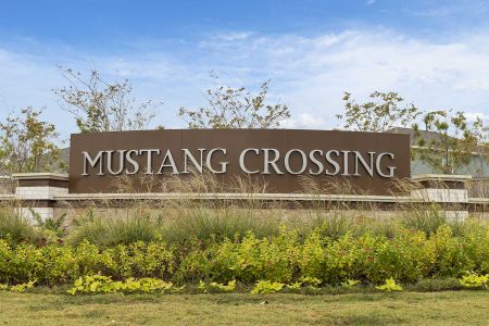 Mustang Crossing by M/I Homes in Alvin - photo 3