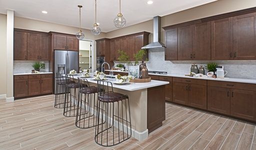 Madera West Estates by Richmond American Homes in Queen Creek - photo 16 16