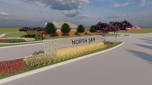 North Sky 55' by Perry Homes in Celina - photo 4 4