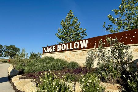 Sage Hollow by Milestone Community Builders in Kyle - photo 0 0