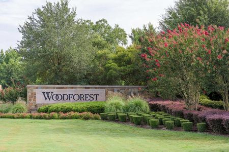 Woodforest - Kingsley Square 50' Homesites by David Weekley Homes in Montgomery - photo