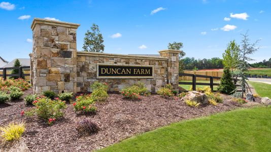 Duncan Farm by Smith Douglas Homes in Cartersville - photo 45 45