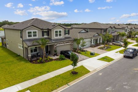 Berry Bay by M/I Homes in Wimauma - photo 13 13