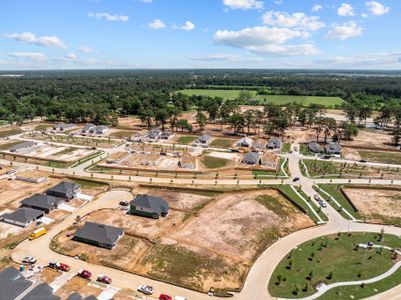 Sorella by M/I Homes in Tomball - photo 20 20