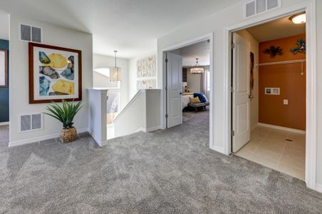 Coyote Creek by Challenger Homes in Fort Lupton - photo 22
