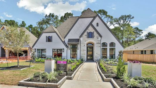 The Woodlands Hills 60' by Perry Homes in Willis - photo