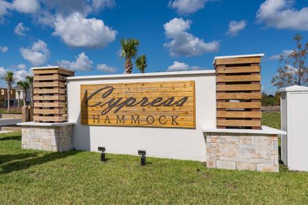 Single-Family Homes at Cypress Hammock by Landsea Homes in Kissimmee - photo 0 0
