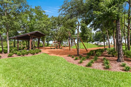 South Creek at Shearwater by David Weekley Homes in Saint Augustine - photo 42 42