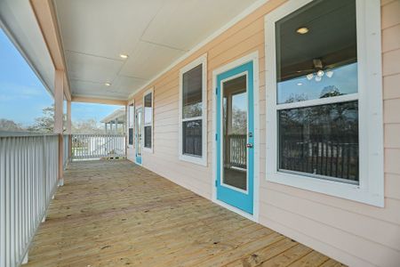 Peacock Isle by Bayway Homes in Dickinson - photo 22 22