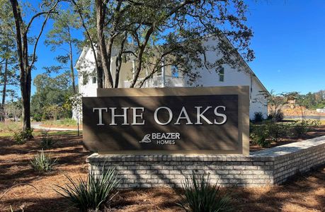 The Oaks by Beazer Homes in Goose Creek - photo 30 30
