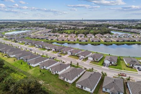 Trevesta by M/I Homes in Palmetto - photo 0