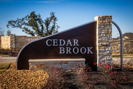 Cedar Brook by M/I Homes in Leander - photo 0 0