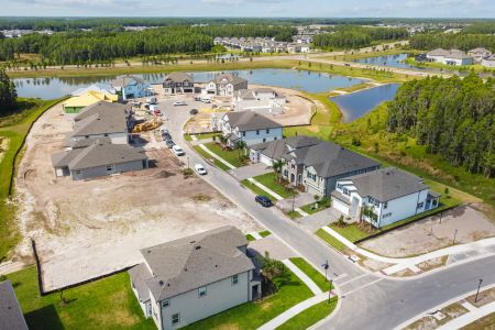 K-Bar Ranch Gilded Woods by M/I Homes in Tampa - photo 3 3