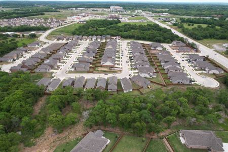 Gateway Village - The Reserve: 50ft. lots by Highland Homes in Denison - photo 7 7
