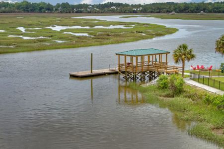 Landings at Sweetwater by Eastwood Homes in Charleston - photo 11