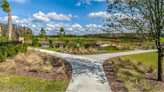 Angeline: The Town Executives by Lennar in Land O' Lakes - photo 14 14