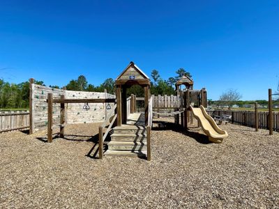 Petterson Meadows by Mungo Homes in Summerville - photo 1 1